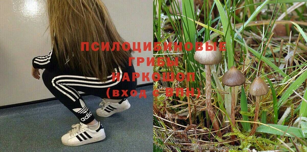 гашиш Волосово