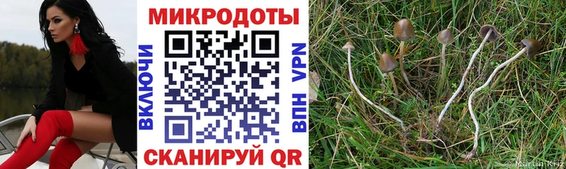 Галлюциногенные грибы мухоморы Купить Инсар